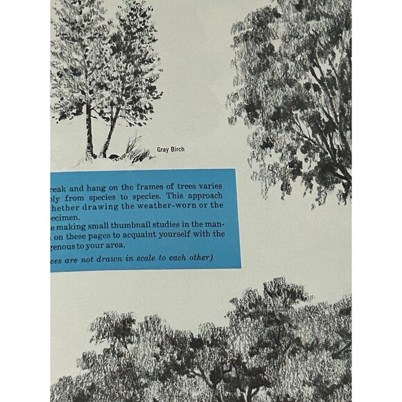 Art of Drawing Trees - Issue B-370 - Picture 4 of 8